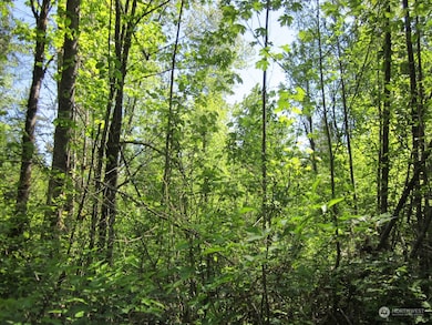 20633 SE 388th St, Enumclaw, WA 98022 - photo 3