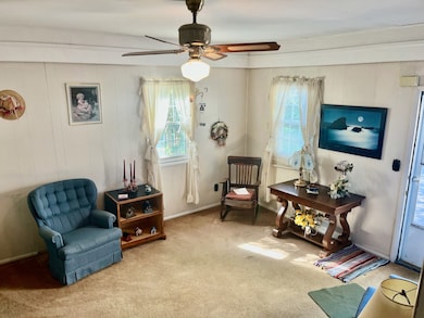 911 W Main St, Carmi, IL 62821 - photo 7