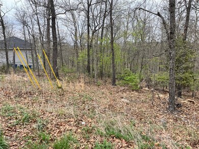 0 Sandhurst Dr, Bella Vista, AR 72714 - photo 4