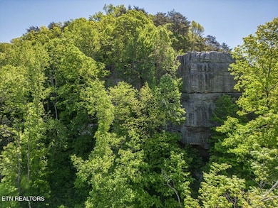 1127 Eagle Roost Ct, Monterey, TN 38574 - photo 5