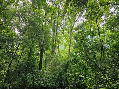 0 Hutcheson Road Off, Temple, GA 30179 - photo 7