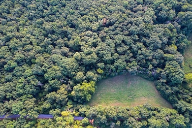 0 Joe Buck unit 24562142, Dittmer, MO 63023 - photo 6