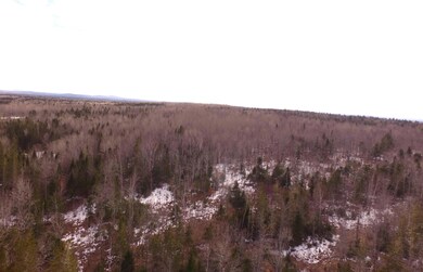 DJI_0007