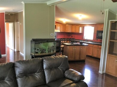 5035 Rutledge Pike, Rutledge, TN 37861 - photo 6