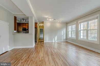 1730 Preston Rd unit 817-17, Alexandria, VA 22302 - photo 7