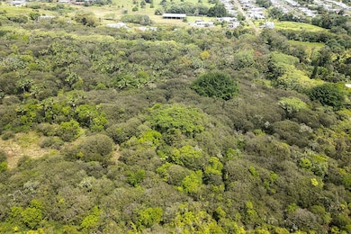 280 Laula Rd, Hilo, HI 96720 - photo 3