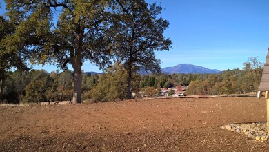 Back yard view