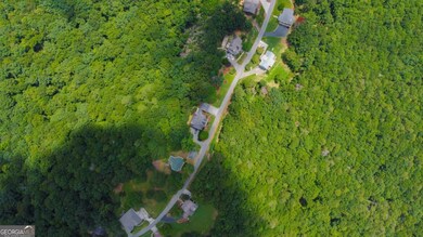 Lot 36 Talona Mountain Rd unit 34, Ellijay, GA 30536 - photo 5