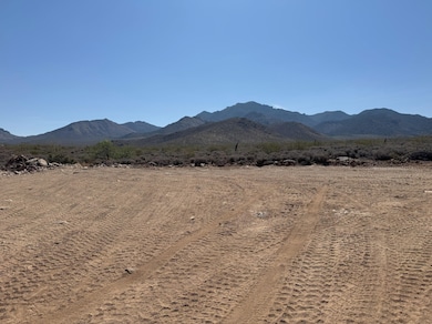 3 Longhorn Dr, Dolan Springs, AZ 86441 - photo 4