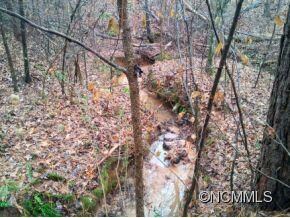 Spring Creek