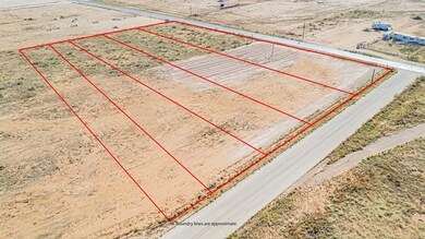 2059 County Rd C2300, Midland, TX 79705 - photo 4