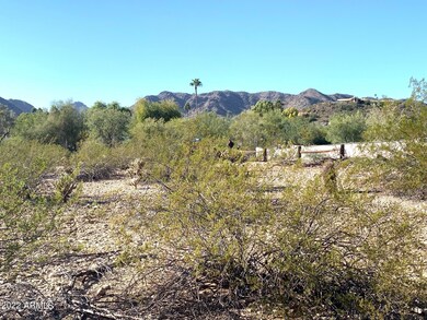 7017 E PALO VERDE LN 7_lot_View