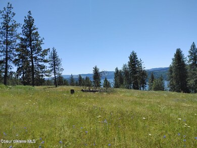 146399 E Falcon Crest Rd, Harrison, ID 83833 - photo 7