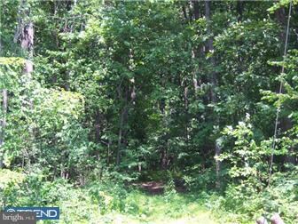 Lot 1 Old Plains Rd, Pennsburg, PA 18073 - photo 2