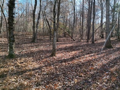 Lt 24 Winding Creek Rd, Blue Ridge, GA 30513 - photo 5