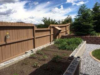 garden area - Copy (2)