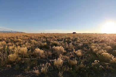 620 Pine Cone Rd, Crestone, CO 81131 - photo 7