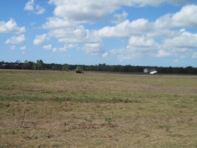 308 County Road 416, Brazoria, TX 77422 - photo 5