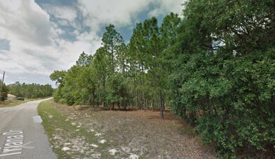 8116 N Triana Dr, Citrus Springs, FL 34434 - photo 6