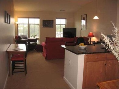 4 Repton Cir unit 4407, Watertown, MA 02472 - photo 2