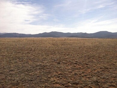 0 Raven Ln unit S1040890, Hartsel, CO 80449 - photo 3