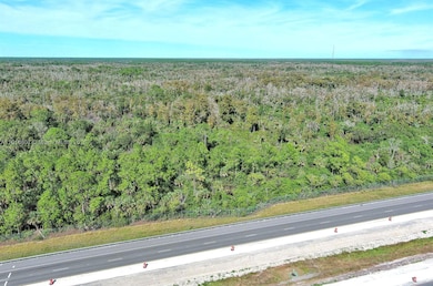 0 Everglades Pkwy, Naples, FL 34117 - photo 6