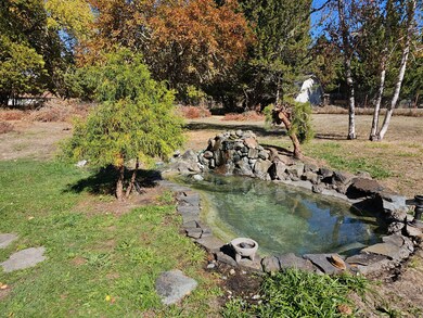 Pond