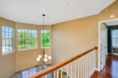 Tons of Natural Light