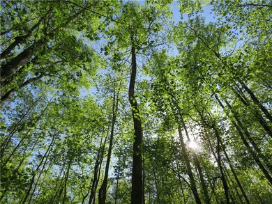 Lot 11 Ledbetter Ln, Walhalla, SC 29691 - photo 4