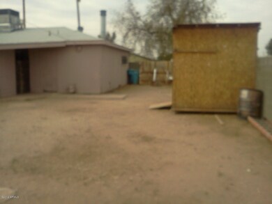backyard3
