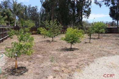 Here's the orchard.  View to Via Zacata