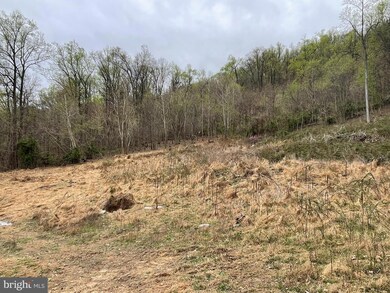 0 S Mountain Rd, Knoxville, MD 21758 - photo 2