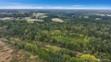 2200 E Smith Rd, Bellingham, WA 98226 - photo 7