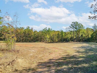 TBD N Fm 161, Hughes Springs, TX 75656 - photo 6