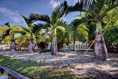 Beautiful Palms...