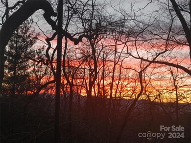 115 Ballantree Dr, Asheville, NC 28803 - photo 4