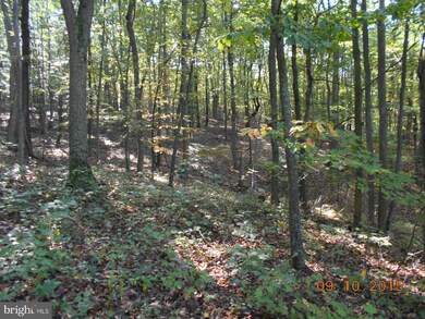 2 Spring Gap Rd, Slanesville, WV 25444 - photo 5