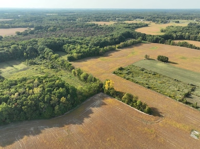 Vactant Land 1400 Block, Buchanan, MI 49017 - photo 4