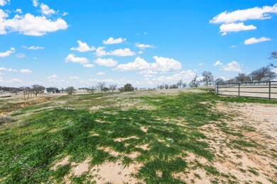 305 Pidgeon Ln, Weatherford, TX 76087 - photo 2