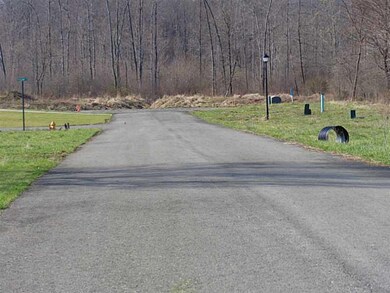 View. Road leading into the lots