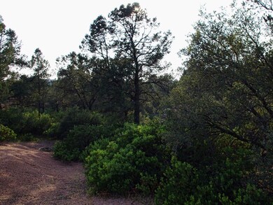 910 S Ridgeway St unit 35, Payson, AZ 85541 - photo 5