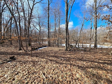 XXXX Julep Trail N, Columbus, MN 55025 - photo 6