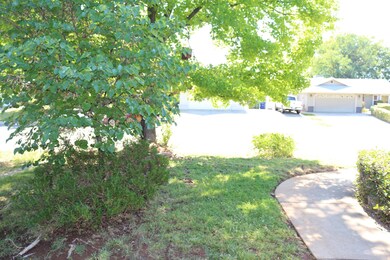 Trees in front yard