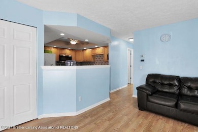 521 Village Dr, Lansing, MI 48911 - photo 4