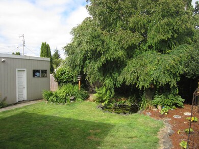 Back yard