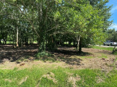 8901 Briarcrest St, Manvel, TX 77578 - photo 5