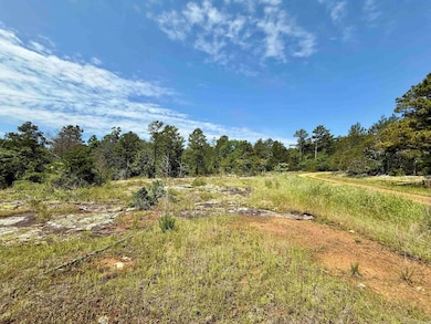 001-01049-000 Cr 128, Calico Rock, AR 72519 - photo 5