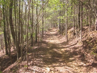 Great for ATV or side by side riding.