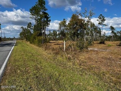 00 Jarrott Daniels Rd, Wewahitchka, FL 32465 - photo 6