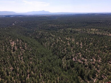 37494 Rd T 7, Mancos, CO 81328 - photo 6